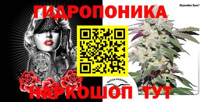 a pvp Обнинск