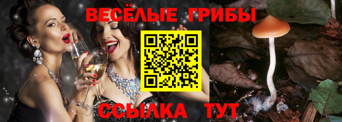 Псилоцибиновые грибы прущие грибы  Вход с VPN  Псилоцибиновые грибы Psilocybe  купить наркоту  Севастополь 